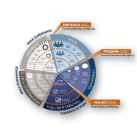 Portfolio Governance