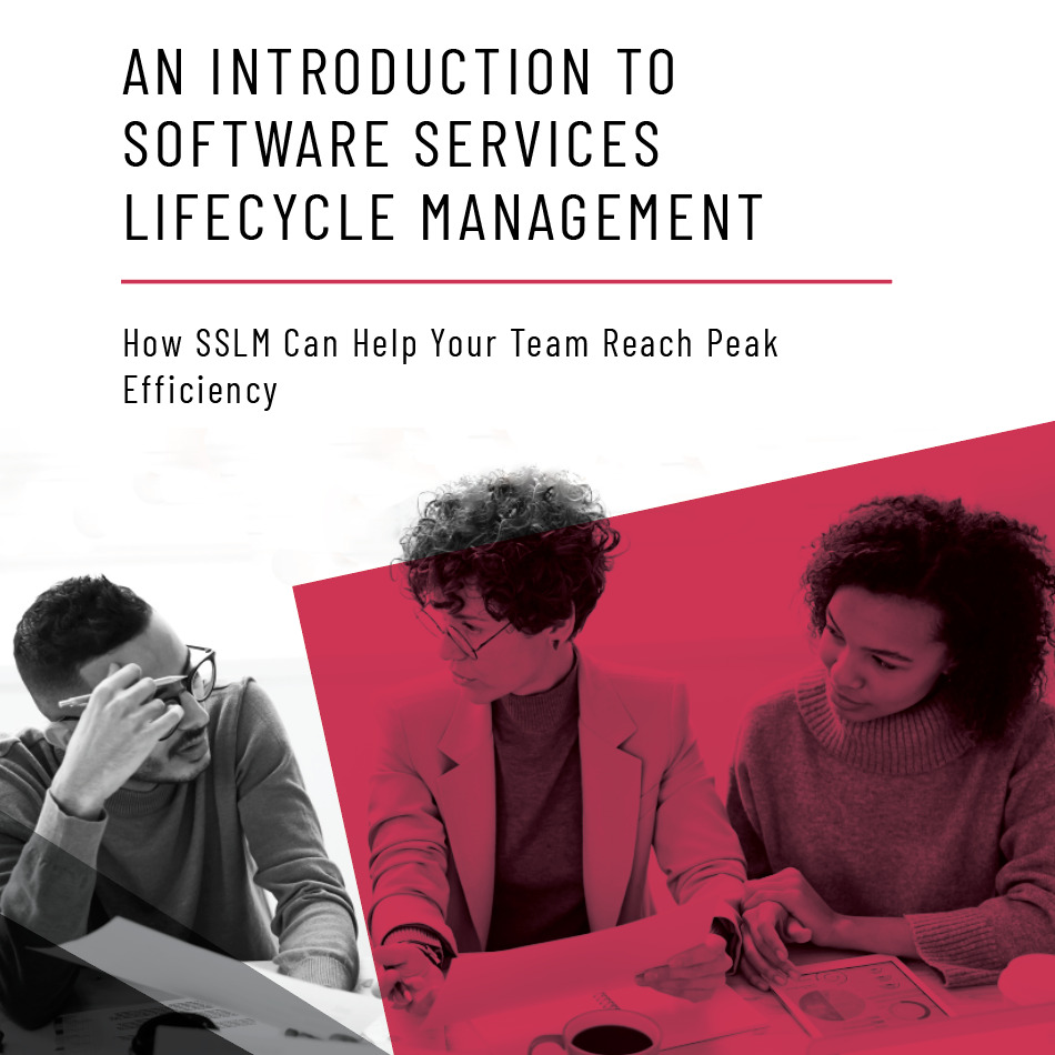 An Introduction to Software Services Lifecycle Management (SSLM)