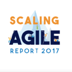 Scaling Agile Survey 2017