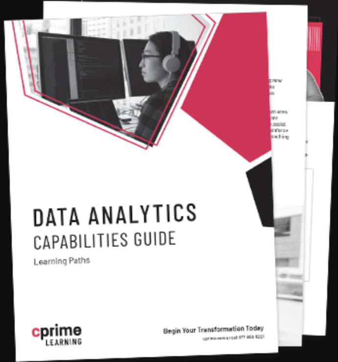 Data Analytics Capabilities Guide