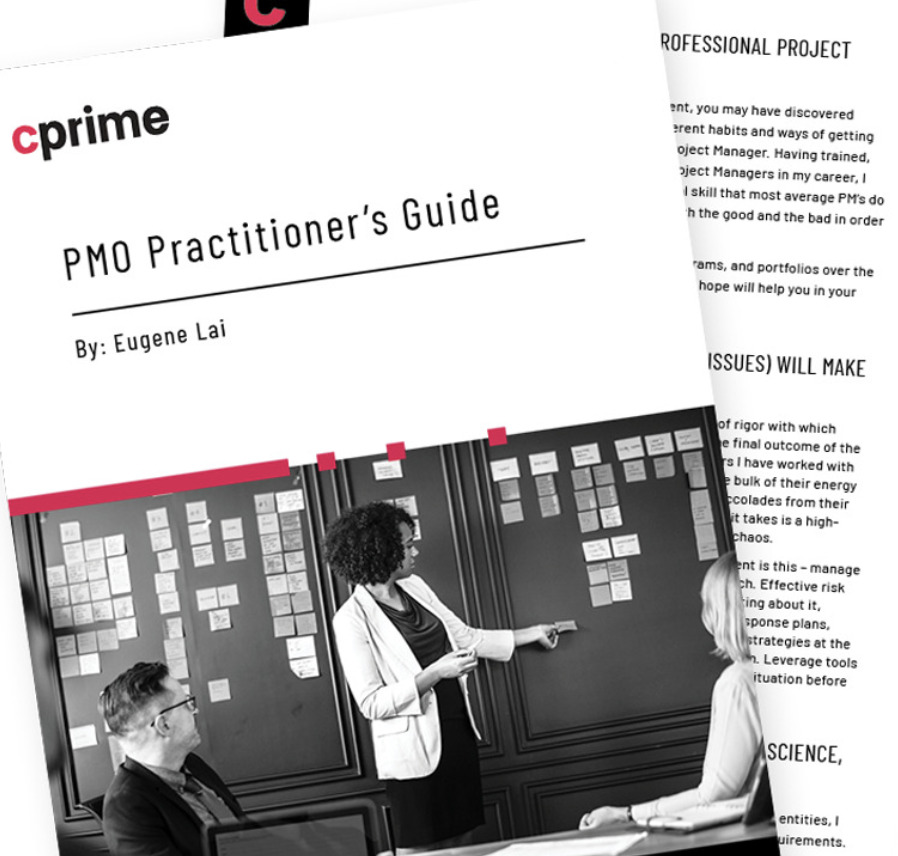 PMO Practitioner’s Guide
