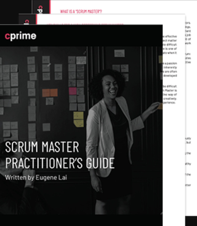 Scrum Master Practitioner’s Guide