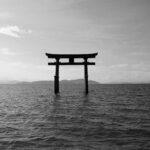 Achieving Agile 2.0: The Cprime Dojo Experience