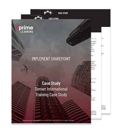 Denver International Airport Case Study