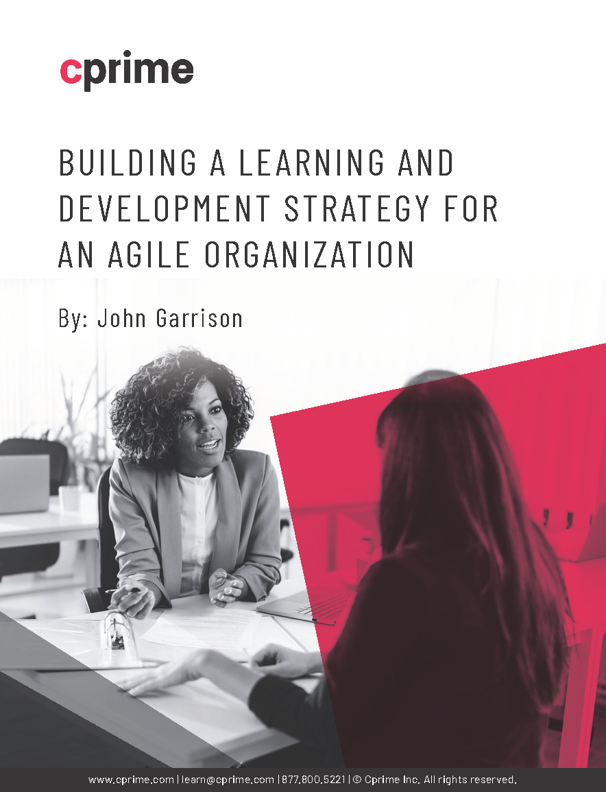 Building a Learning and Development Strategy for an Agile Organization