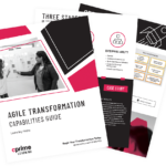 Agile Solutions Guide