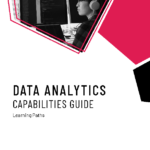 Data Analytics Capabilities Guide