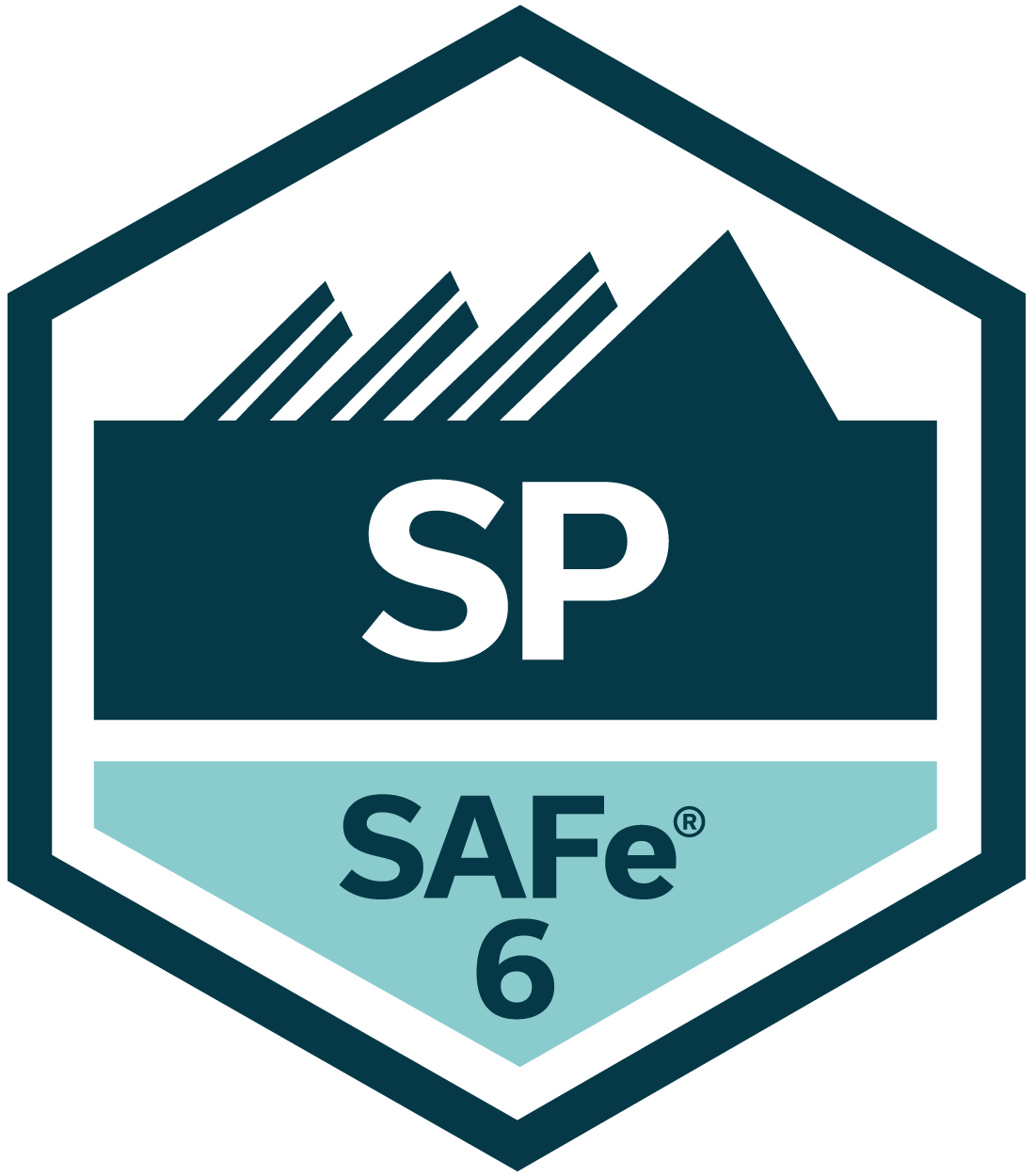 SAFe Practitioner