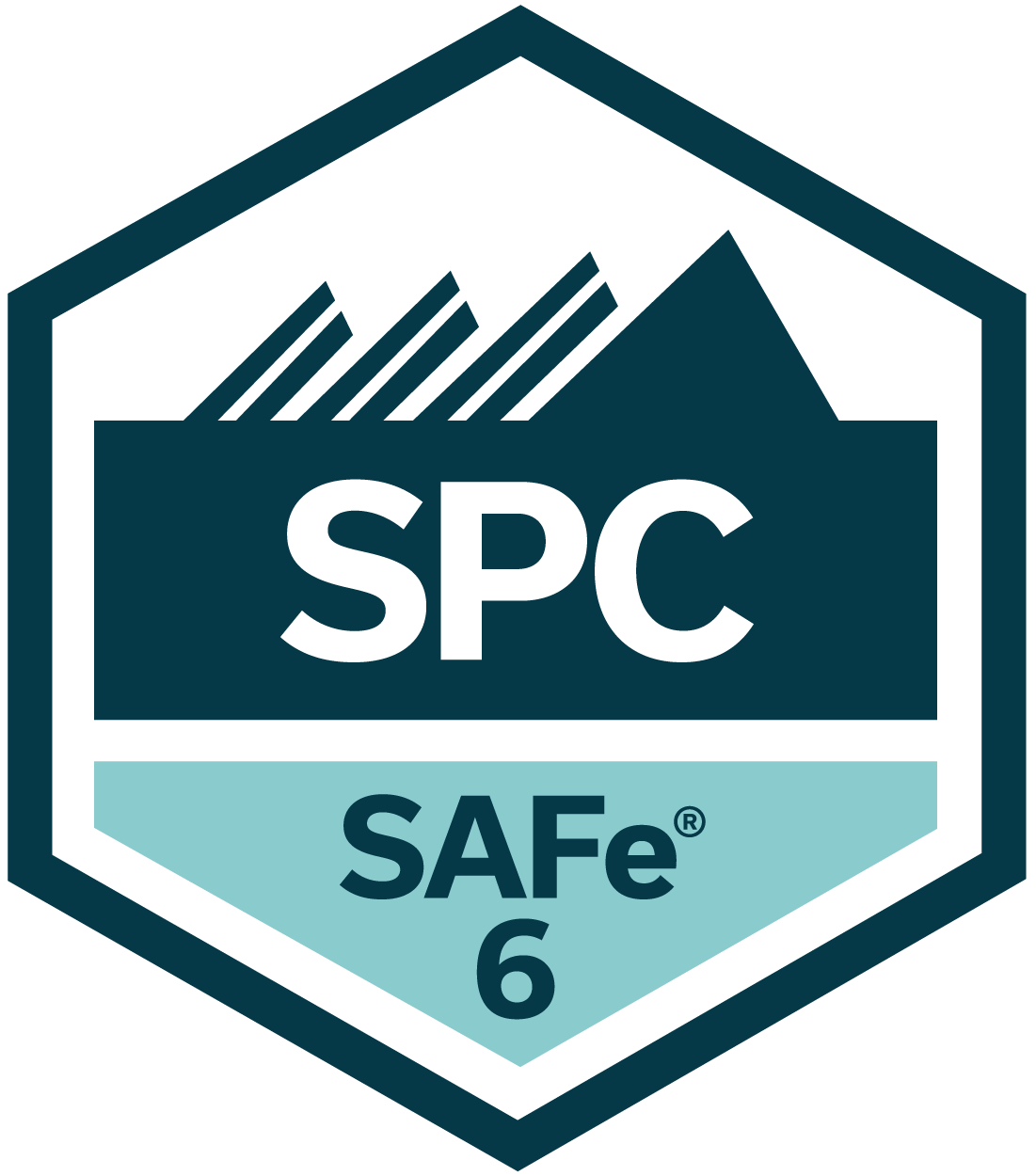 SAFe Program Consultant