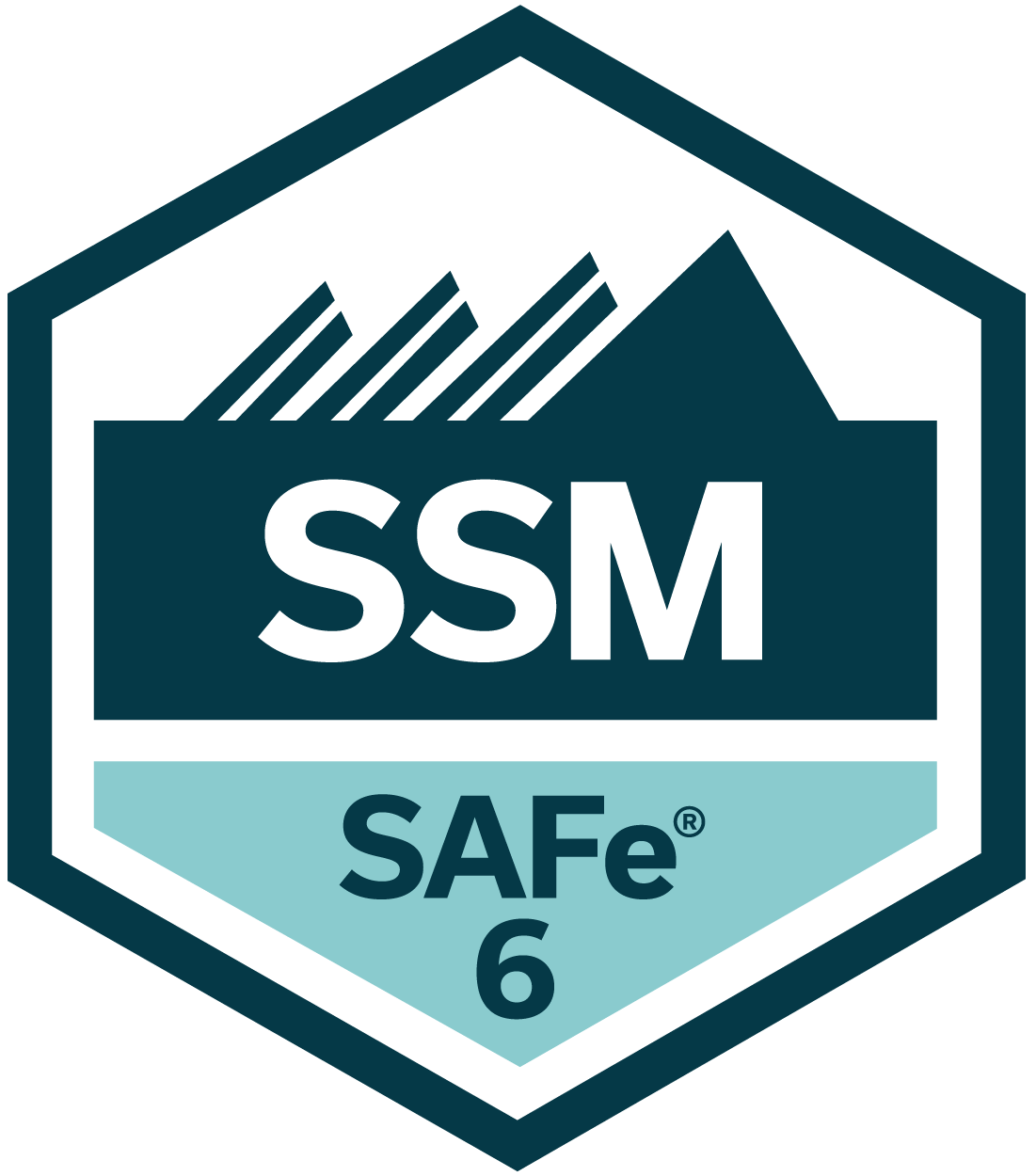 SAFe Scrum Master